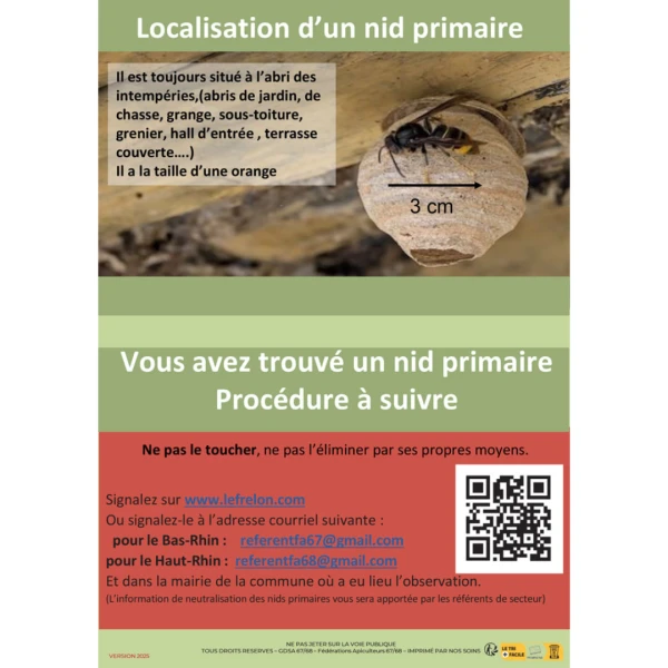 FRELONS ASIATIQUES